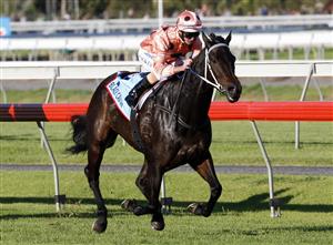 ADELAIDE, AUSTRALIA - APRIL 28: Luke Nolen mount Black Caviar wins the Roberts Sangster Stakes race on Schweppes Oaks Day at Morphettville Racecourse on April 28, 2012 in Adelaide, Australia. (Photo by Regi Varghese/Getty Images)