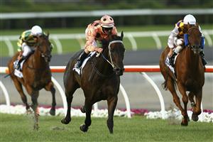 MELBOURNE, AUSTRALIA - JANUARY 27: Luke Nolen riding Black Caviar leads the field to win Race Four Essendon Mazda Australia Stakes during Australia Stakes Night at Moonee Valley Racecourse on January 27, 2012 in Melbourne, Australia. (Photo by Robert Prezioso/Getty Images)