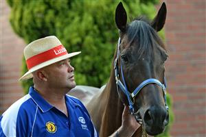 MELBOURNE, AUSTRALIA - FEBRUARY 14: Trainer Peter Moody with Black Caviar attends this morning
