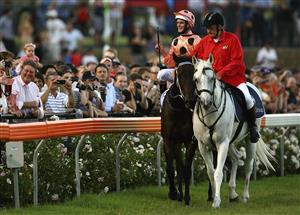 MELBOURNE, AUSTRALIA - JANUARY 27: Luke Nolen riding Black Caviar returns to scales after winning Race Four Essendon Mazda Australia Stakes during Australia Stakes Night at Moonee Valley Racecourse on January 27, 2012 in Melbourne, Australia. (Photo by Robert Prezioso/Getty Images)