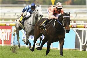 MELBOURNE, AUSTRALIA - OCTOBER 08: Luke Nolen riding Black Caviar leads the field to win race Four Schweppes Schillaci Stakes on Caulfield Guineas Day at Caulfield Racecourse on October 8, 2011 in Melbourne, Australia. (Photo by Robert Prezioso/Getty Images)