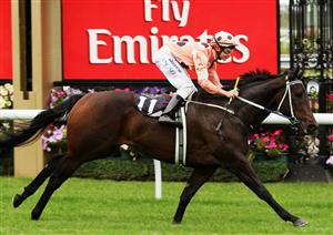 MELBOURNE, AUSTRALIA - APRIL 18: Jockey Jarrad Noske riding Black Caviar wins Race Two the Cromwell Handicap during the Community Raceday at Flemington Racecourse on April 18, 2009 in Melbourne, Australia. (Photo by Mark Dadswell/Getty Images)