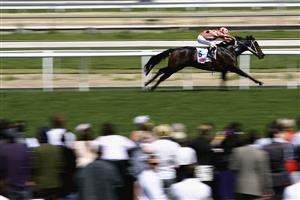 MELBOURNE, AUSTRALIA - OCTOBER 09: Luke Nolen riding Black Caviar leads the field to win race Four PFD Food Services Schillaci Stakes during Caulfield Guineas Day at Caulfield Racecourse on October 9, 2010 in Melbourne, Australia. (Photo by Robert Prezioso/Getty Images)