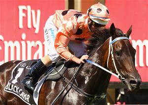 MELBOURNE, AUSTRALIA - MARCH 12: Jockey Luke Nolden riding Black Caviar wins Race Six the Lexus Newmarket Handicap during Super Saturday at Flemington Racecourse on March 12, 2011 in Melbourne, Australia. (Photo by Mark Dadswell/Getty Images)
