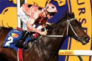 MELBOURNE, AUSTRALIA - MAY 02: Jarrad Noske riding Black Caviar crosses the line to win the Blue Sapphire Stakes during the Blue Sapphire Stakes Day at Caulfield racecourse on May 2, 2009 in Melbourne, Australia. (Photo by Quinn Rooney/Getty Images)