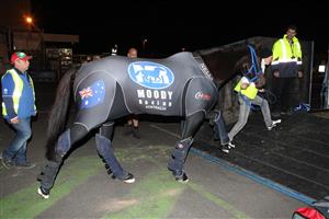 MELBOURNE, AUSTRALIA - JUNE 6: In this handout photo provided by Racing Victoria, Tony Haydon, the foreman at Peter Moody Stables watches as race horse Black Caviar, wearing a spandex body suit, departs from Tullamarine Airport on route to England on June 6, 2012 in Melbourne, Australia. (Photo by Gary Wild/Racing Victoria via Getty Images)