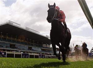 MELBOURNE, AUSTRALIA - AUGUST 22: Luke Nolen riding Black Caviar gets ahead to win race one the Arrow Training Services Plate at Moonee Valley Racecourse on August 22, 2009 in Melbourne, Australia. (Photo by Robert Cianflone/Getty Images)