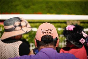 SYDNEY, AUSTRALIA - APRIL 13: A Black Caviar supporter sits in position close to the track on Australian Derby Day at Royal Randwick Racecourse on April 13, 2013 in Sydney, Australia. (Photo by Mark Kolbe/Getty Images)