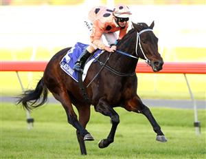 ADELAIDE, AUSTRALIA - MAY 12: Jockey Luke Nolen riding Black Caviar wins the Distinctive Homes Goodwood during Distinctive Homes Goodwood Handicap Day at Morphettville Racecourse on May 12, 2012 in Adelaide, Australia. (Photo by Mark Dadswell/Getty Images)