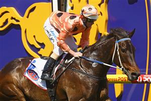 MELBOURNE, AUSTRALIA - OCTOBER 09: Luke Nolen riding Black Caviar crosses the line to win the PFD Food Services Schillaci Stakes during Caulfield Guineas Day at Caulfield Racecourse on October 9, 2010 in Melbourne, Australia. (Photo by Quinn Rooney/Getty Images)
