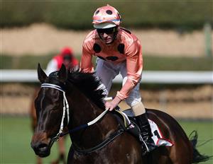 MELBOURNE, AUSTRALIA - AUGUST 22: Luke Nolen riding Black Caviar returns to scale after winning race one the Arrow Training Services Plate at Moonee Valley Racecourse on August 22, 2009 in Melbourne, Australia. (Photo by Robert Cianflone/Getty Images)