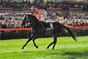 MELBOURNE, AUSTRALIA - MARCH 22: Luke Nolen riding Black Caviar heads to the start before winning her 24th straight win in the Hacer Group William Reid Stakes during Melbourne racing at Moonee Valley Racecourse on March 22, 2013 in Melbourne, Australia. (Photo by Vince Caligiuri/Getty Images)