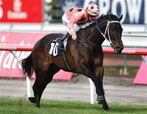MELBOURNE, AUSTRALIA - SEPTEMBER 05: Jockey Luke Nolen riding Black Caviar wins the Danehill Stakes during the Sofitel Girls