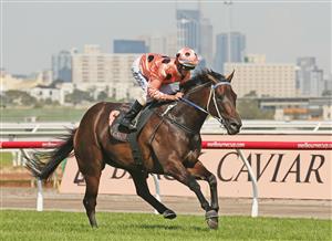 MELBOURNE, AUSTRALIA - FEBRUARY 16: Jockey Luke Nolen riding Black Caviar wins race 7 the Black Caviar Lightning Stakes during Lightning Stakes Day at Flemington Racecourse on February 16, 2013 in Melbourne, Australia. (Photo by Scott Barbour/Getty Images for the VRC)