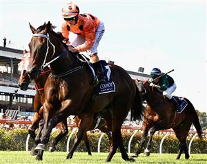 MELBOURNE, AUSTRALIA - FEBRUARY 18: Jockey Luke Nolen riding Black Caviar wins Race Six the Coolmore Lightning Stakes during Lightning Stakes Day at Flemington Racecourse on February 18, 2012 in Melbourne, Australia. (Photo by Mark Dadswell/Getty Images)