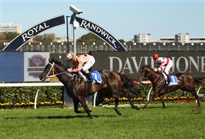 SYDNEY, AUSTRALIA - APRIL 09: Luke Nolan riding Black Caviar wins race five the Darley T J Smith Stakes on AJC Australian Derby Day at Royal Randwick Racecourse on April 9, 2011 in Sydney, Australia. (Photo by Mark Kolbe/Getty Images)
