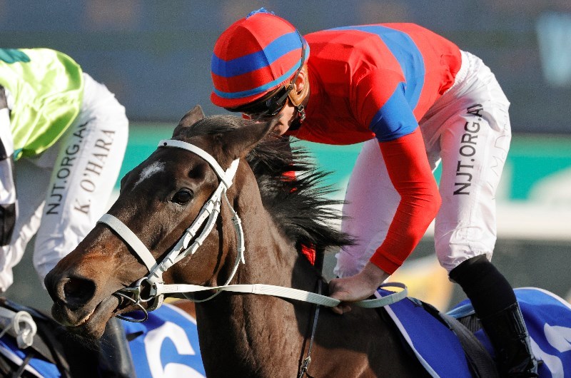 Chipping Norton Stakes Odds