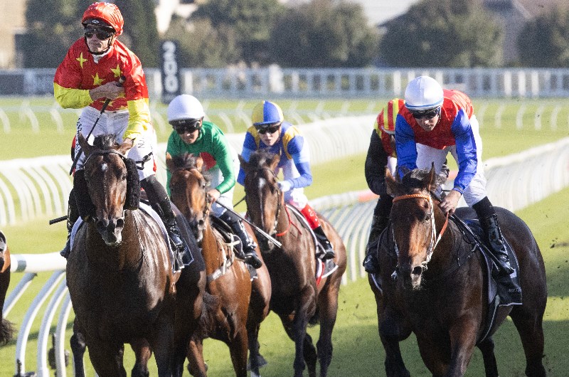 Moonee Valley Betting Tips