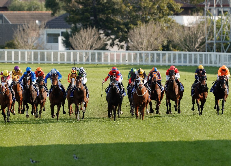Randwick tips for 21.08.2021