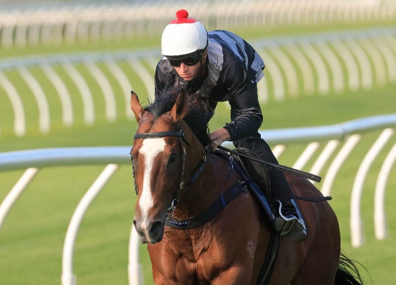 Big Bets for 21.08.2021