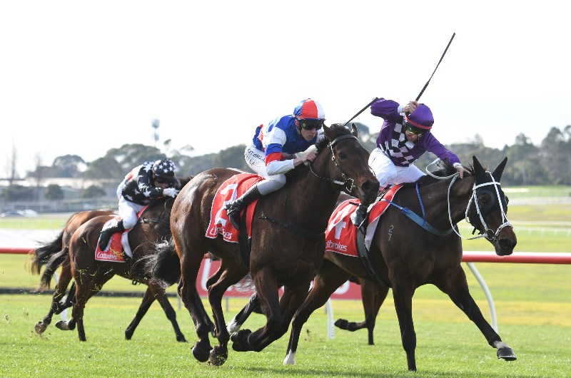 Sale Betting Tips