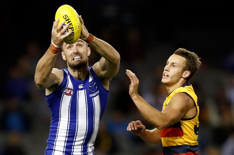 crows kangaroos afl