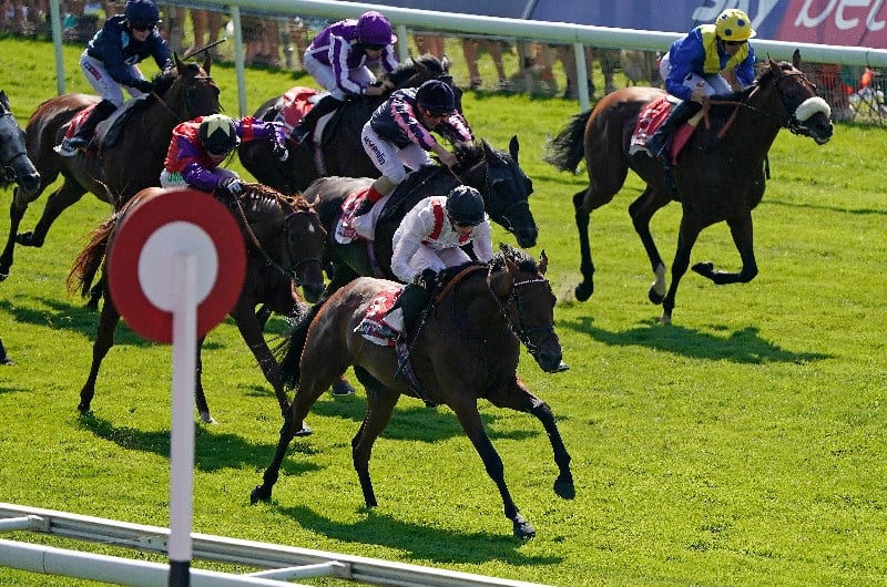 hamish races