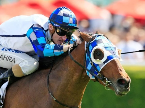 Ballarat Cup Tips