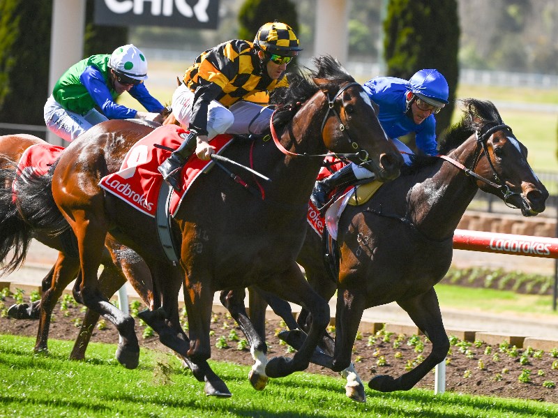 Big Bets results from 21.08..2021