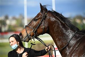 MELBOURNE, AUSTRALIA - AUGUST 21: Floating Artist after winning Race 4, the Tony Gulliver Handicap, during Melbourne Racing at Moonee Valley Racecourse on August 21, 2021 in Melbourne, Australia. (Photo by Vince Caligiuri/Getty Images)
