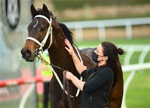 MELBOURNE, AUSTRALIA - AUGUST 21: He's Xceptional after winning the Listed McKenzie Stakes during Melbourne Racing at Moonee Valley Racecourse on August 21, 2021 in Melbourne, Australia. (Getty)