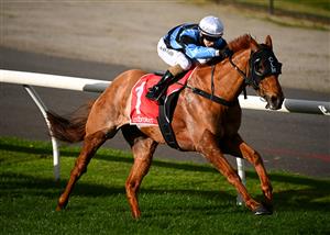 MELBOURNE, AUSTRALIA - AUGUST 21: Josh Richards riding Smokin' Romans to win Race 5, the Ladbroke It Handicap during Melbourne Racing at Moonee Valley Racecourse on August 21, 2021 in Melbourne, Australia. (Getty)
