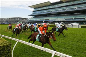 SYDNEY, AUSTRALIA - AUGUST 21: Jason Collett on Ten Bells wins race 1 the Tab Highway Class 2 Handicap during Sydney Racing at Royal Randwick on August 21, 2021 in Sydney, Australia. (Photo by Mark Evans/Getty Images)
