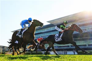 SYDNEY, AUSTRALIA - AUGUST 21: Jay Ford on Private Eye wins race 7 the Mostyn Copper Show County Quality during Sydney Racing at Royal Randwick on August 21, 2021 in Sydney, Australia. (Photo by Mark Evans/Getty Images)