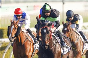 SYDNEY, AUSTRALIA - AUGUST 21: Jay Ford on Private Eye wins race 7 the Mostyn Copper Show County Quality during Sydney Racing at Royal Randwick on August 21, 2021 in Sydney, Australia. (Photo by Mark Evans/Getty Images)