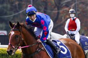 SYDNEY, AUSTRALIA - AUGUST 21: Ellen Hennessy on Torrens returns to scale after winning
race 2 the Gold Coast Turf Club Trophy during Sydney Racing at Royal Randwick on August 21, 2021 in Sydney, Australia. (Photo by Mark Evans/Getty Images)