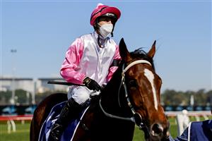 SYDNEY, AUSTRALIA - AUGUST 21: Brenton Avdulla on Tampering returns to scale after winning race 3 the Midway Handicap during Sydney Racing at Royal Randwick on August 21, 2021 in Sydney, Australia. (Photo by Mark Evans/Getty Images)
