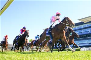 SYDNEY, AUSTRALIA - AUGUST 21: Brenton Avdulla on Tampering wins race 3 the Midway Handicap during Sydney Racing at Royal Randwick on August 21, 2021 in Sydney, Australia. (Photo by Mark Evans/Getty Images)