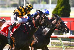 MELBOURNE, AUSTRALIA - AUGUST 21: Brett Prebble riding Zouzarella winning Race 1,the Roll The Dice Racing Plate, during Melbourne Racing at Moonee Valley Racecourse on August 21, 2021 in Melbourne, Australia. (Photo by Vince Caligiuri/Getty Images)