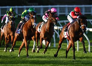 MELBOURNE, AUSTRALIA - AUGUST 21: Craig Williams riding Pancho winning Race 7, the Ranvet Handicap, during Melbourne Racing at Moonee Valley Racecourse on August 21, 2021 in Melbourne, Australia. (Photo by Vince Caligiuri/Getty Images)