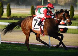 MELBOURNE, AUSTRALIA - AUGUST 21: Craig Williams riding Pancho winning Race 7, the Ranvet Handicap, during Melbourne Racing at Moonee Valley Racecourse on August 21, 2021 in Melbourne, Australia. (Photo by Vince Caligiuri/Getty Images)