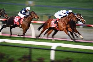 MELBOURNE, AUSTRALIA - AUGUST 21: Craig Williams riding Viral defeats Damien Thornton riding Skyman in Race 9, the Cox Plate Multi Membership Handicap, during Melbourne Racing at Moonee Valley Racecourse on August 21, 2021 in Melbourne, Australia. (Photo by Vince Caligiuri/Getty Images)