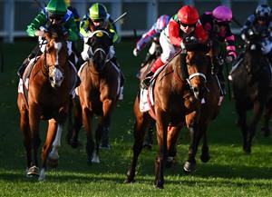 MELBOURNE, AUSTRALIA - AUGUST 21: Craig Williams riding Pancho winning Race 7, the Ranvet Handicap, during Melbourne Racing at Moonee Valley Racecourse on August 21, 2021 in Melbourne, Australia. (Photo by Vince Caligiuri/Getty Images)