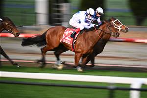 MELBOURNE, AUSTRALIA - AUGUST 21: Craig Williams riding Viral defeats Damien Thornton riding Skyman in Race 9, the Cox Plate Multi Membership Handicap, during Melbourne Racing at Moonee Valley Racecourse on August 21, 2021 in Melbourne, Australia. (Photo by Vince Caligiuri/Getty Images)
