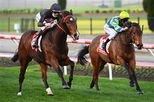 MELBOURNE, AUSTRALIA - AUGUST 21: Damian Lane riding Ballistic Lover winning Race 8, the Long Fine Hospitality Carlyon Stakes, during Melbourne Racing at Moonee Valley Racecourse on August 21, 2021 in Melbourne, Australia. (Photo by Vince Caligiuri/Getty Images)