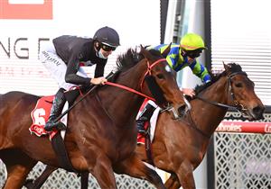 MELBOURNE, AUSTRALIA - AUGUST 21: Damian Lane riding Ballistic Lover winning Race 8, the Long Fine Hospitality Carlyon Stakes, during Melbourne Racing at Moonee Valley Racecourse on August 21, 2021 in Melbourne, Australia. (Photo by Vince Caligiuri/Getty Images)