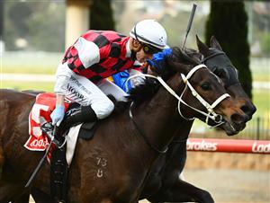 MELBOURNE, AUSTRALIA - AUGUST 21: Daniel Moor riding He's Xceptional to win the Listed McKenzie Stakes during Melbourne Racing at Moonee Valley Racecourse on August 21, 2021 in Melbourne, Australia. (Getty)