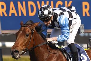 SYDNEY, AUSTRALIA - AUGUST 21: James McDonald on More Prophets wins race 5 the Gow Gates Handicap during Sydney Racing at Royal Randwick on August 21, 2021 in Sydney, Australia. (Photo by Mark Evans/Getty Images)