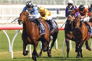 SYDNEY, AUSTRALIA - AUGUST 21: James McDonald on More Prophets wins race 5 the Gow Gates Handicap during Sydney Racing at Royal Randwick on August 21, 2021 in Sydney, Australia. (Photo by Mark Evans/Getty Images)