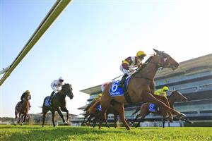 SYDNEY, AUSTRALIA - AUGUST 21: Tim Clark on Swift Witness wins race 6 the Darley Silver Shadow Stakes during Sydney Racing at Royal Randwick on August 21, 2021 in Sydney, Australia. (Photo by Mark Evans/Getty Images)